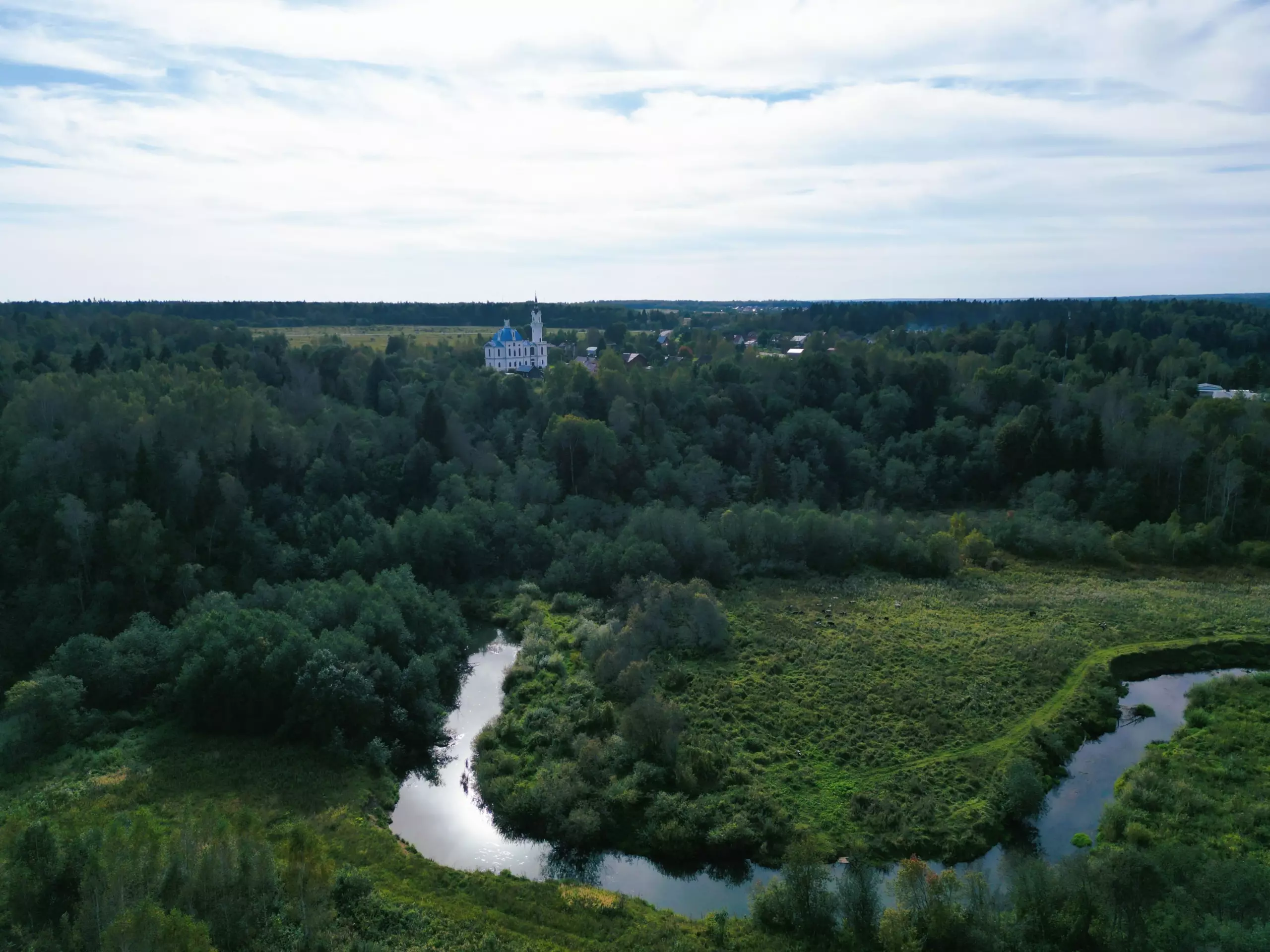 Вид на озеро и лес